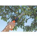 Serrote-de-Poda-Dobravel-6--150mm-Tramontina-78370401---ANT-Ferramentas